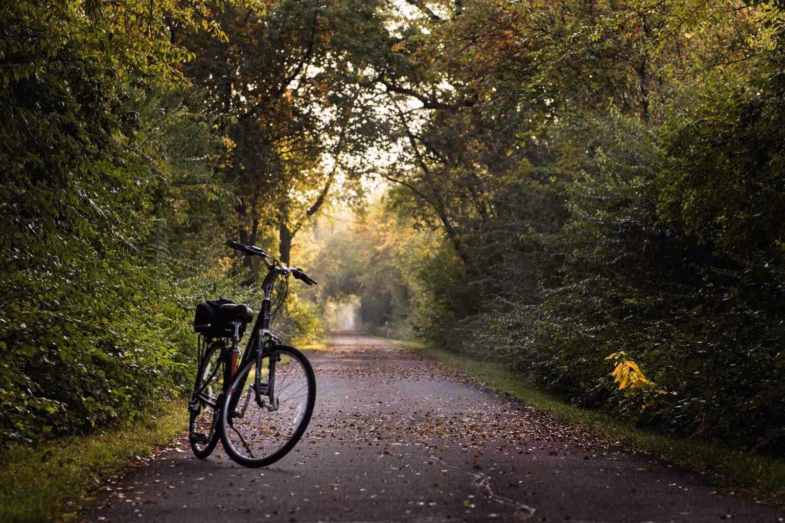 Fietsen door de bossen: de leukste fietsroutes vanuit Veluwepark Voorthuizen
