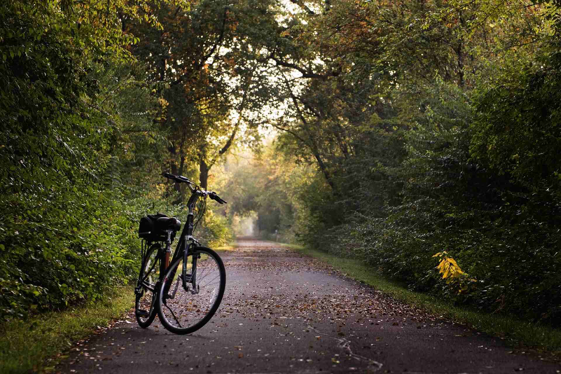Fietsen door de bossen: de leukste fietsroutes vanuit Veluwepark Voorthuizen