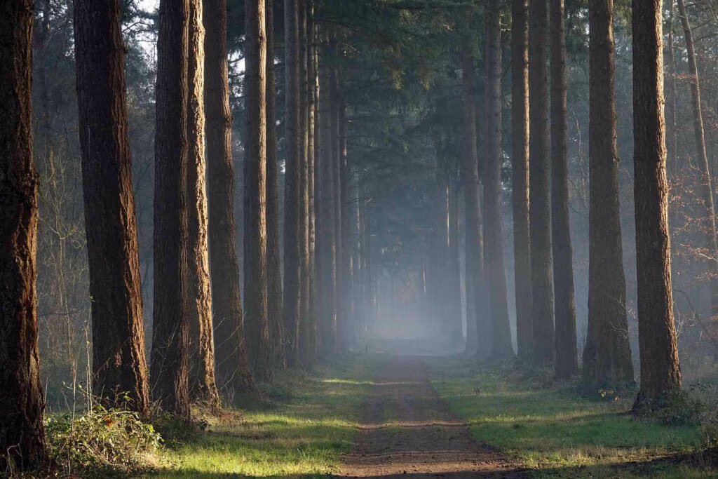 Vakantie Voorthuizen - Veluwepark Voorthuizen